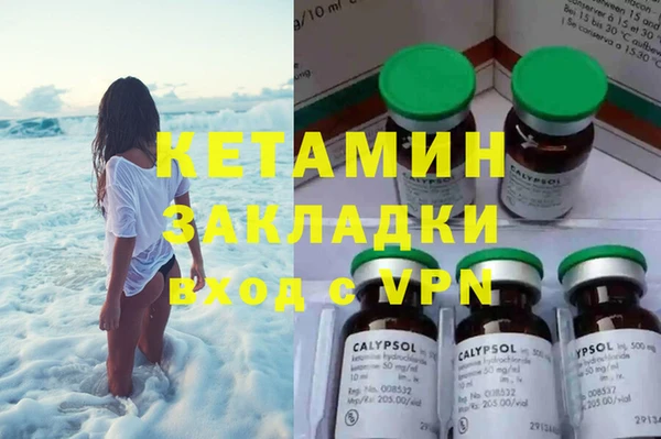 индика Видное