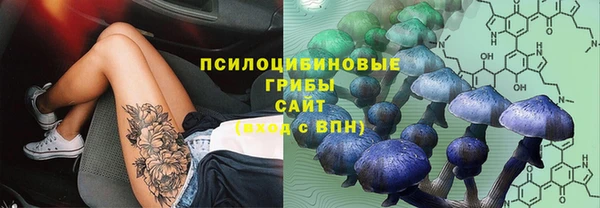 стаф Армянск